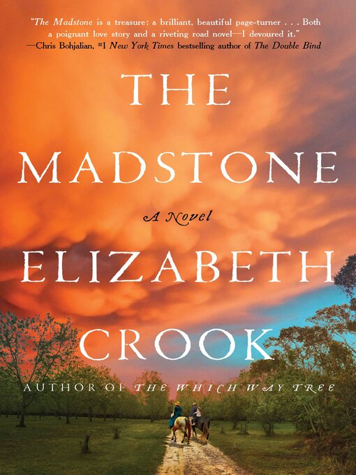 Title details for The Madstone by Elizabeth Crook - Wait list
